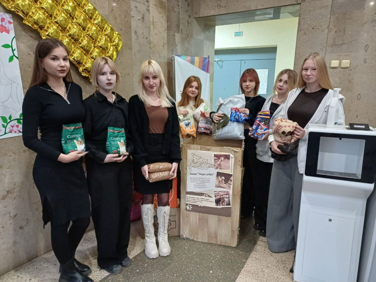 Помощь бездомным животным