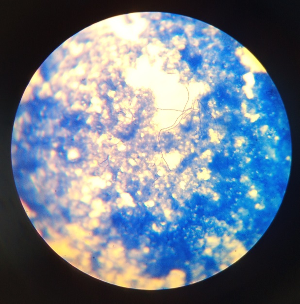 Мастер-класс в рамках Дня открытых дверей Фото 2 Мастер-класс в рамках Дня открытых дверей Фото 2