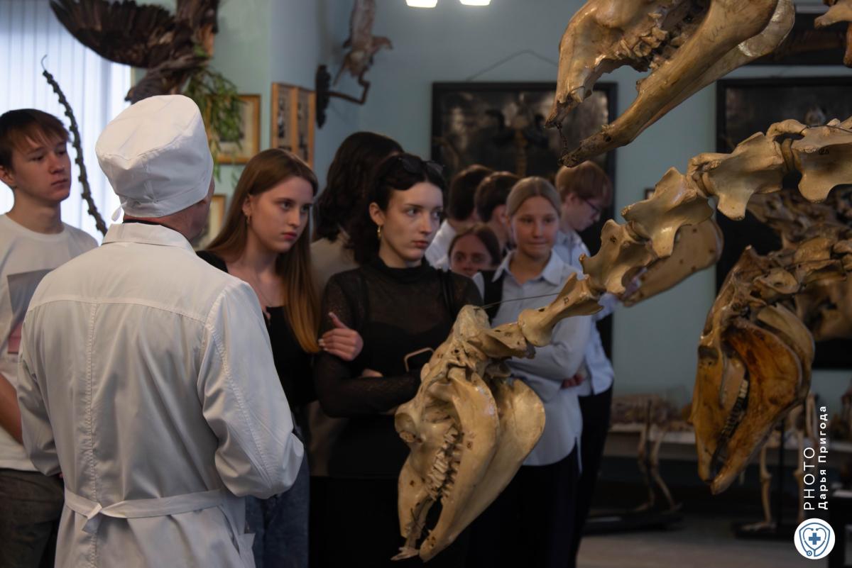 IV Областная олимпиада по биологии собрала школьников Саратовской области Фото 2 IV Областная олимпиада по биологии собрала школьников Саратовской области Фото 2