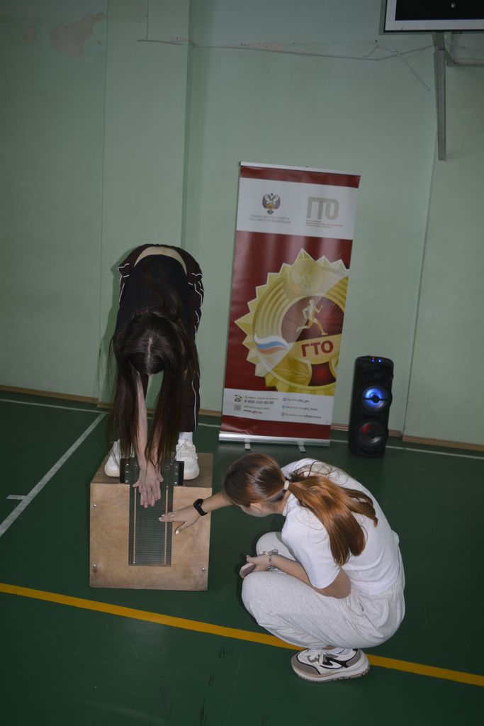 Сдача нормативов Всероссийского физкультурно-спортивного комплекса «Готов к труду и обороне» (ГТО) Фото 3