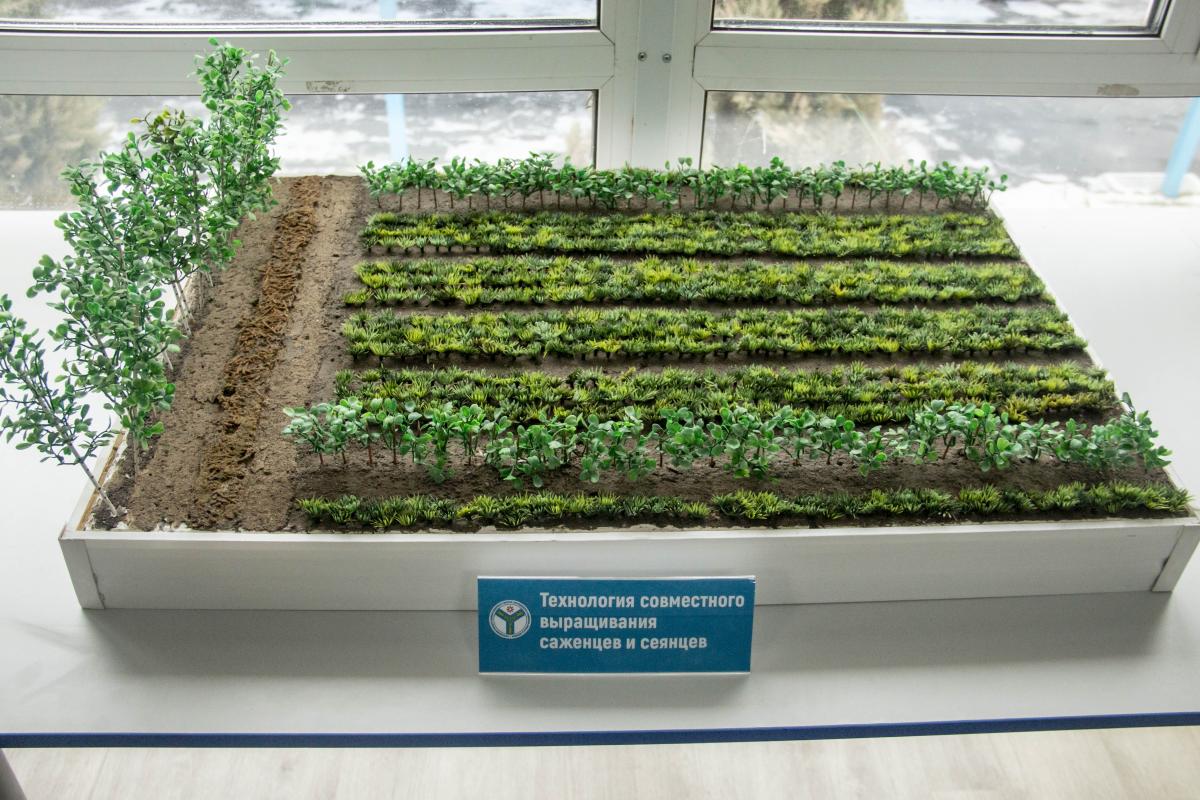 На базе Вавиловского университета состоялось заседание Совета по науке и инновациям Фото 5 На базе Вавиловского университета состоялось заседание Совета по науке и инновациям Фото 5