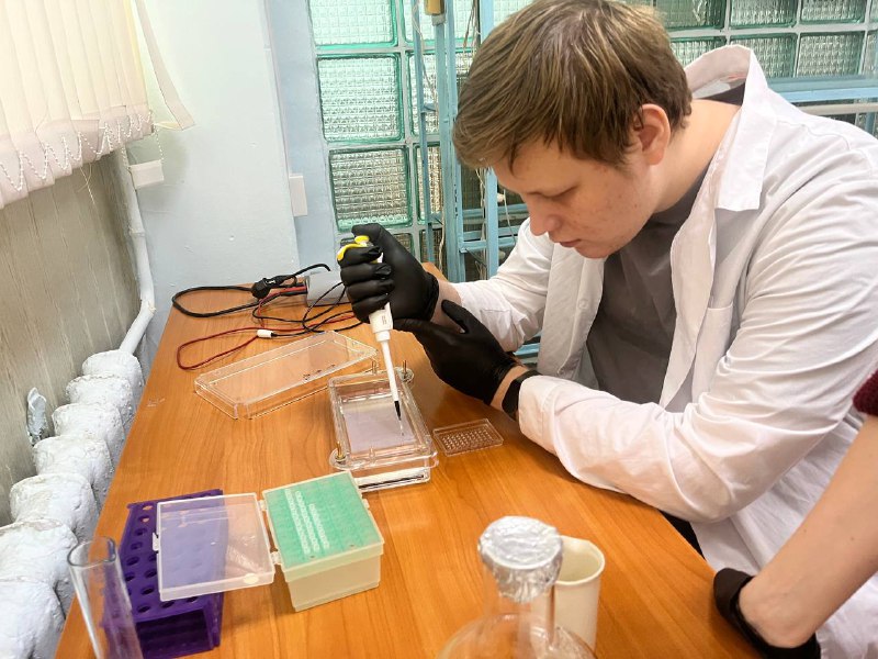 Практическое занятие 3 курса по биотехнологическим методам Фото 2