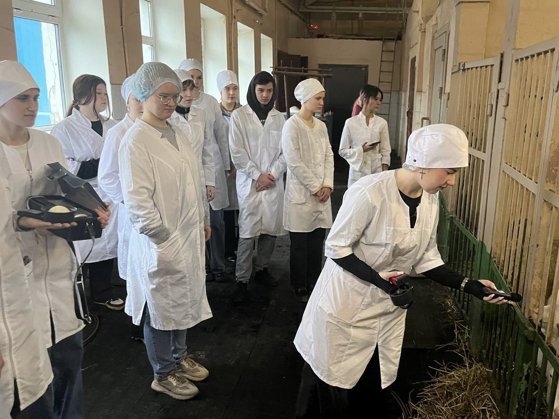 Учебная практика специальности «Ветеринария» Фото 3