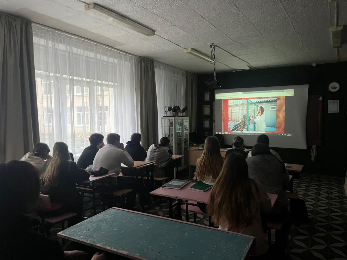 Классный час на тему:«Россия — страна победителей» ко Дню героев Отечества Фото 1