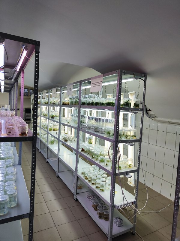 Практика в ВИР Фото 1