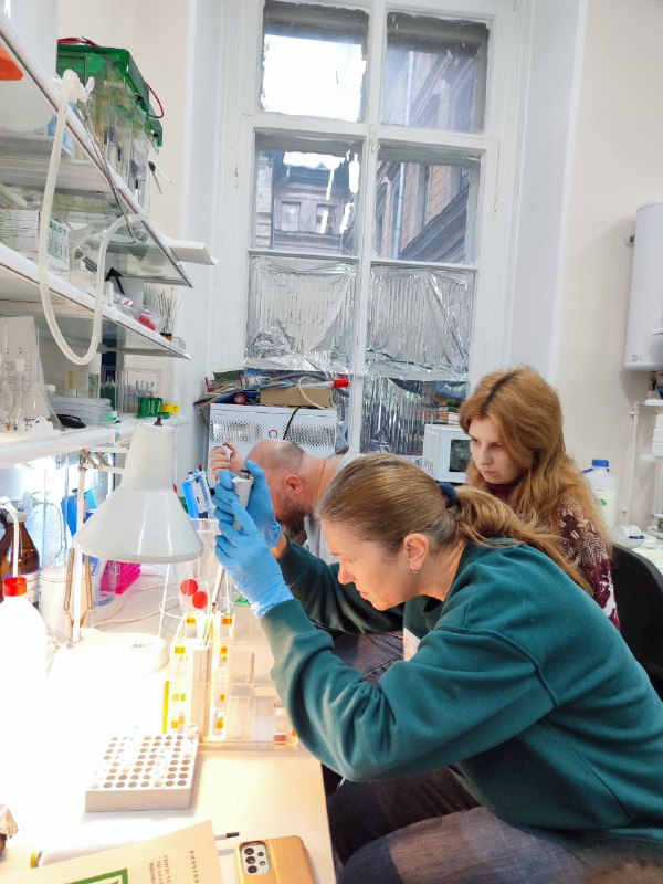 Практика в ВИР Фото 5