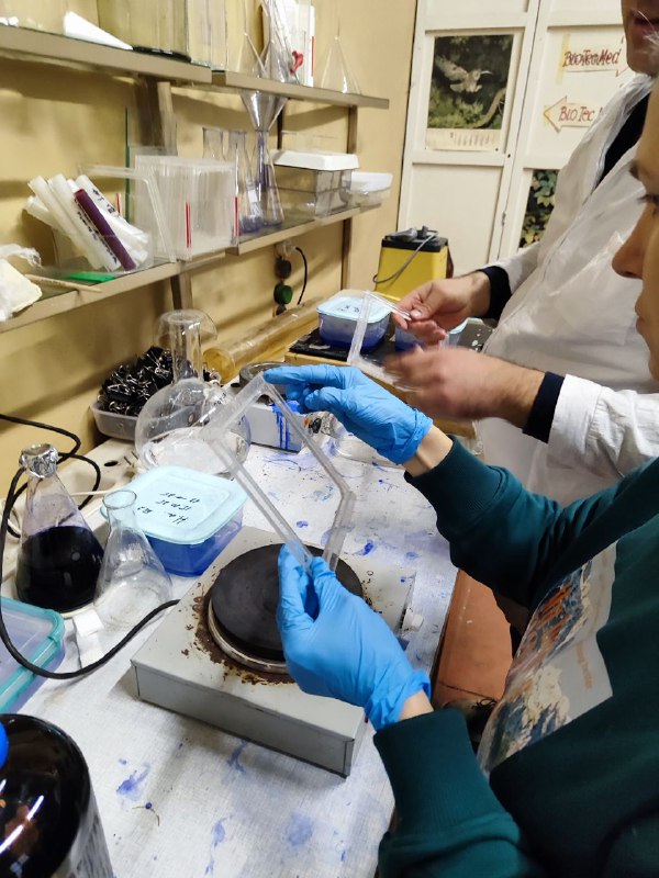 Практика в ВИР Фото 7