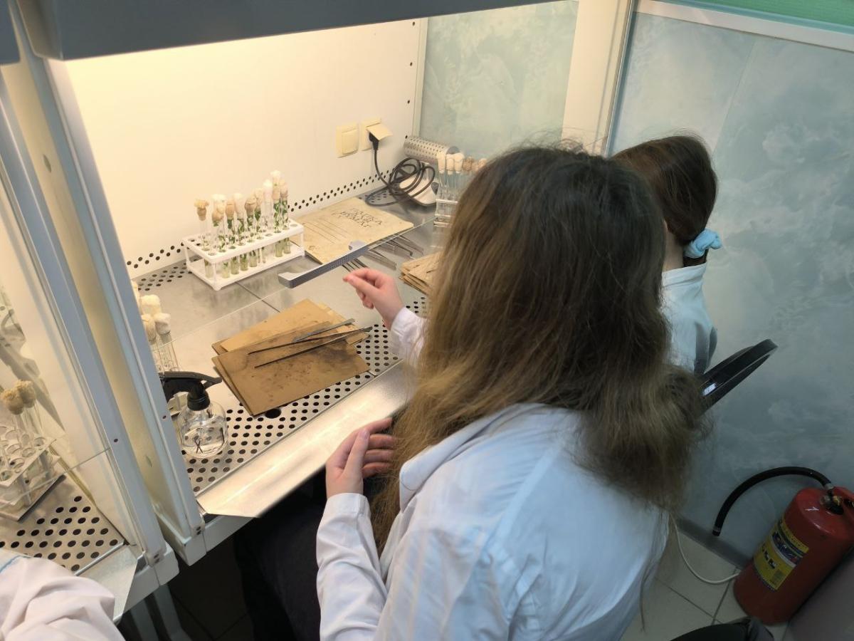 Мастер-классы со школьниками Фото 1