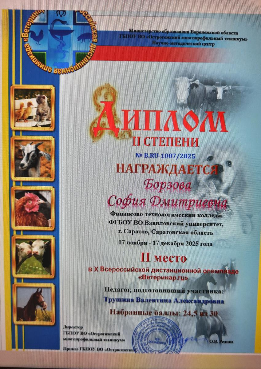 Итоги Всероссийской олимпиады Фото 1