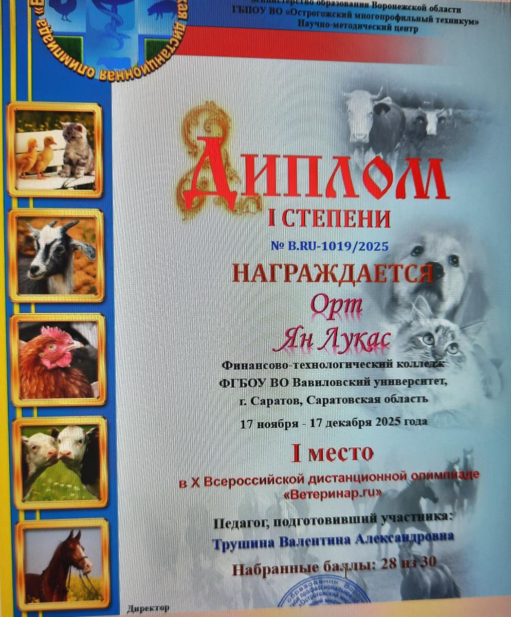 Итоги Всероссийской олимпиады Фото 2