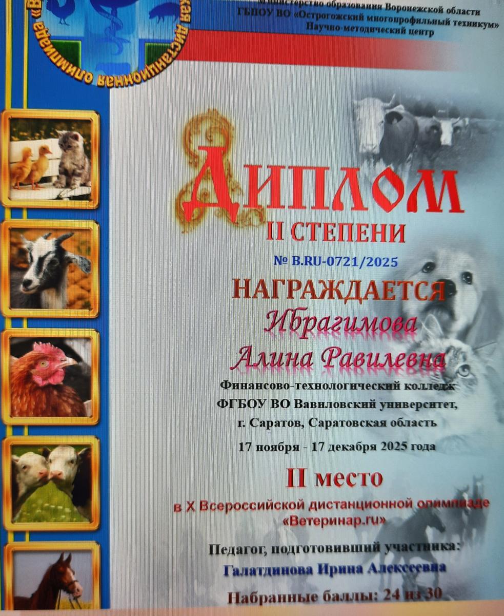 Итоги Всероссийской олимпиады Фото 3