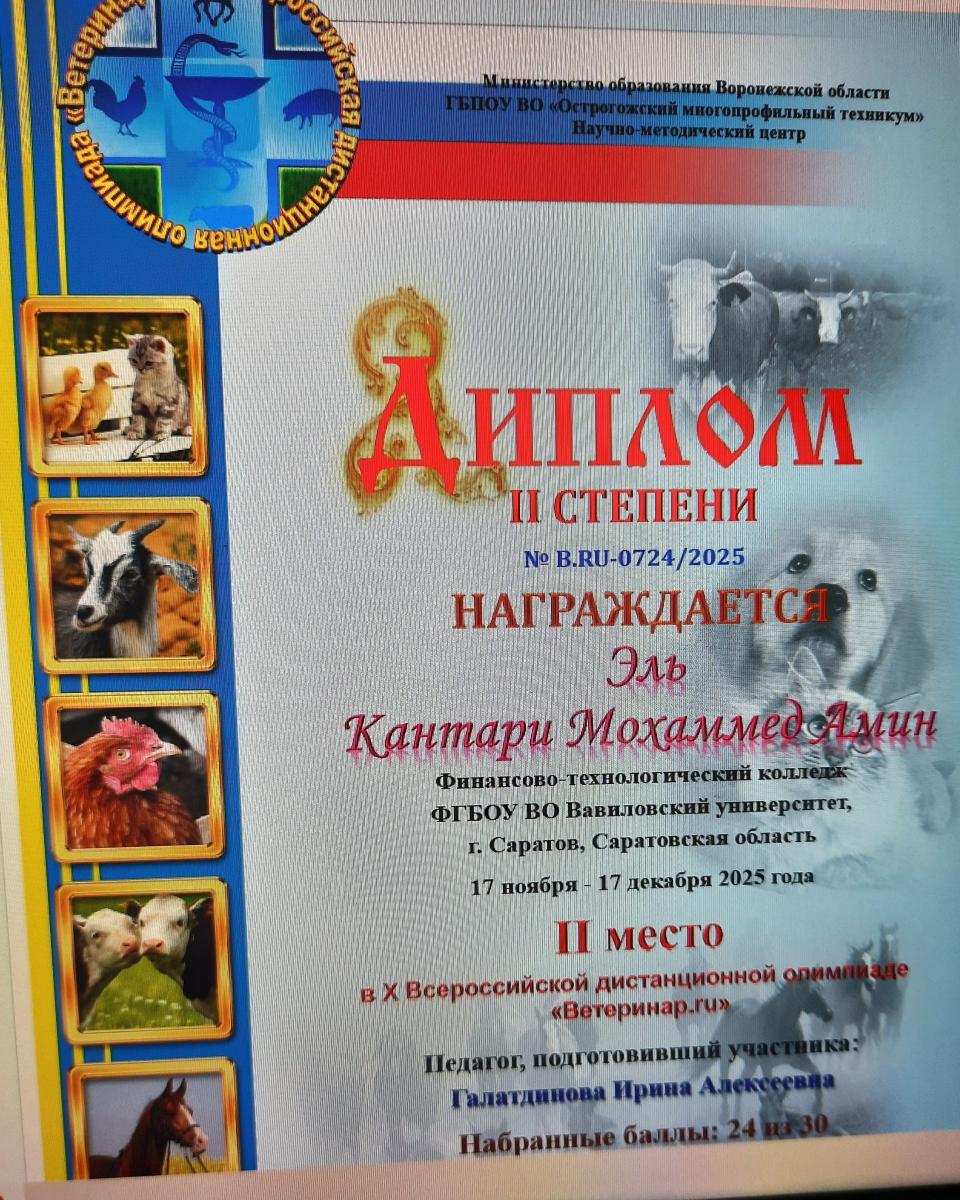 Итоги Всероссийской олимпиады Фото 4