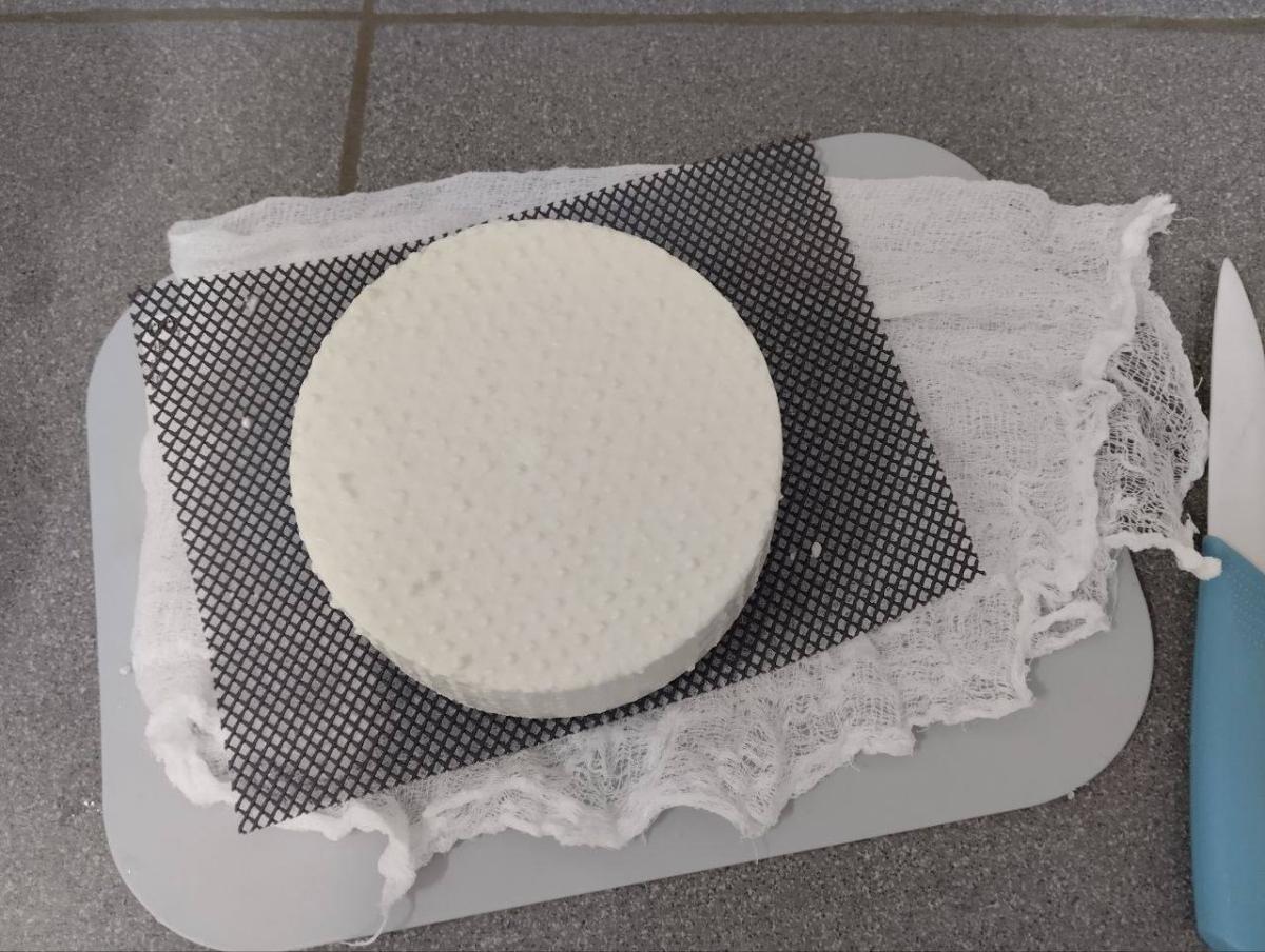 Демонстрация учебного процесса обучающихся специальности 19.02.07 Технология молока и молочных продуктов Фото 2