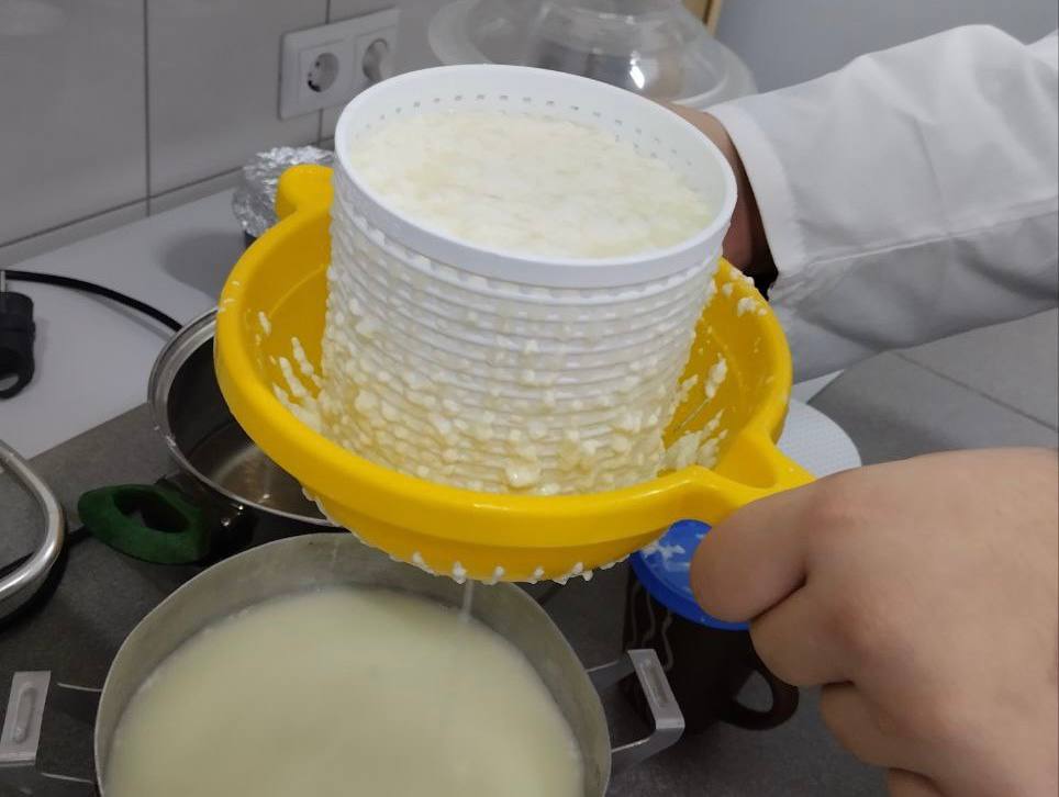 Демонстрация учебного процесса обучающихся специальности 19.02.07 Технология молока и молочных продуктов Фото 3