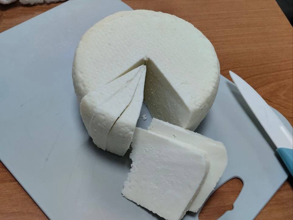 Демонстрация учебного процесса обучающихся специальности 19.02.07 Технология молока и молочных продуктов Фото 5