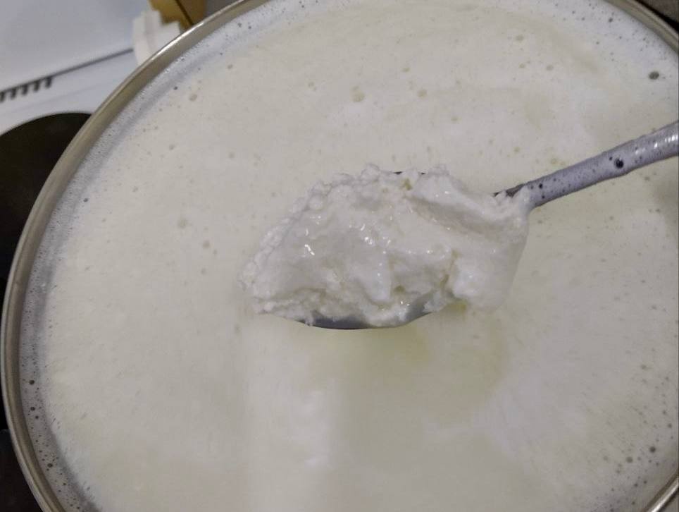 Демонстрация учебного процесса обучающихся специальности 19.02.07 Технология молока и молочных продуктов Фото 7