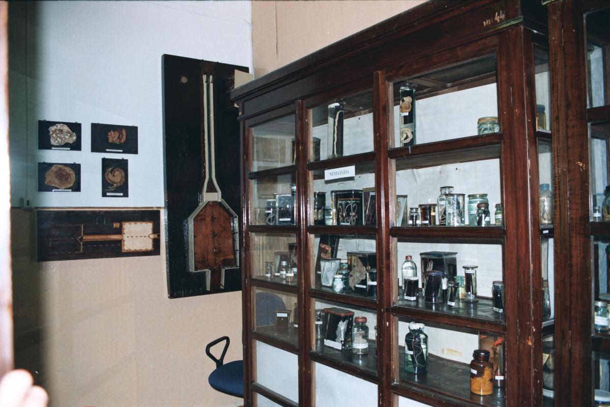 Посещение Паразитологического музея ФГБОУ ВО Вавиловского университета Фото 2