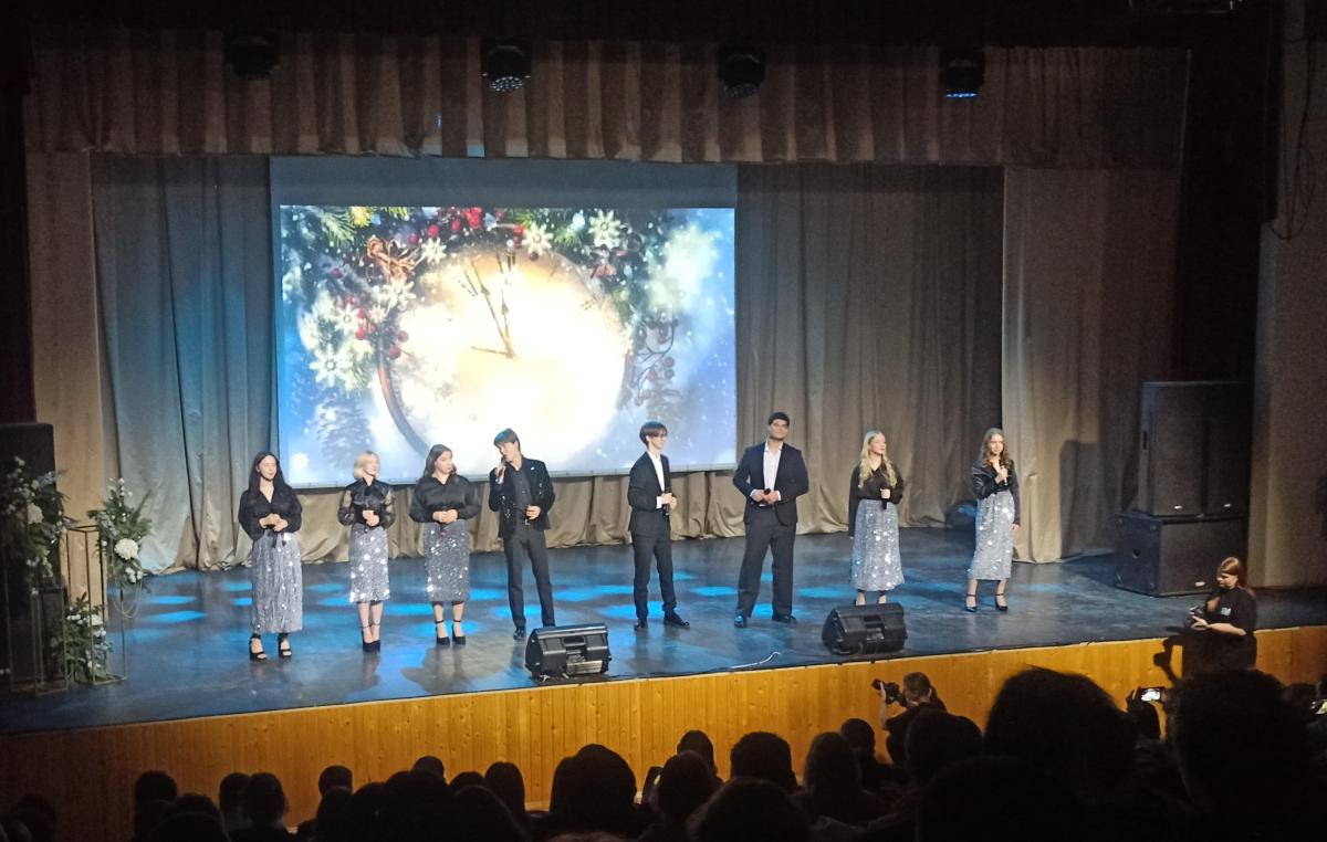 Посещение новогоднего концерта Фото 5