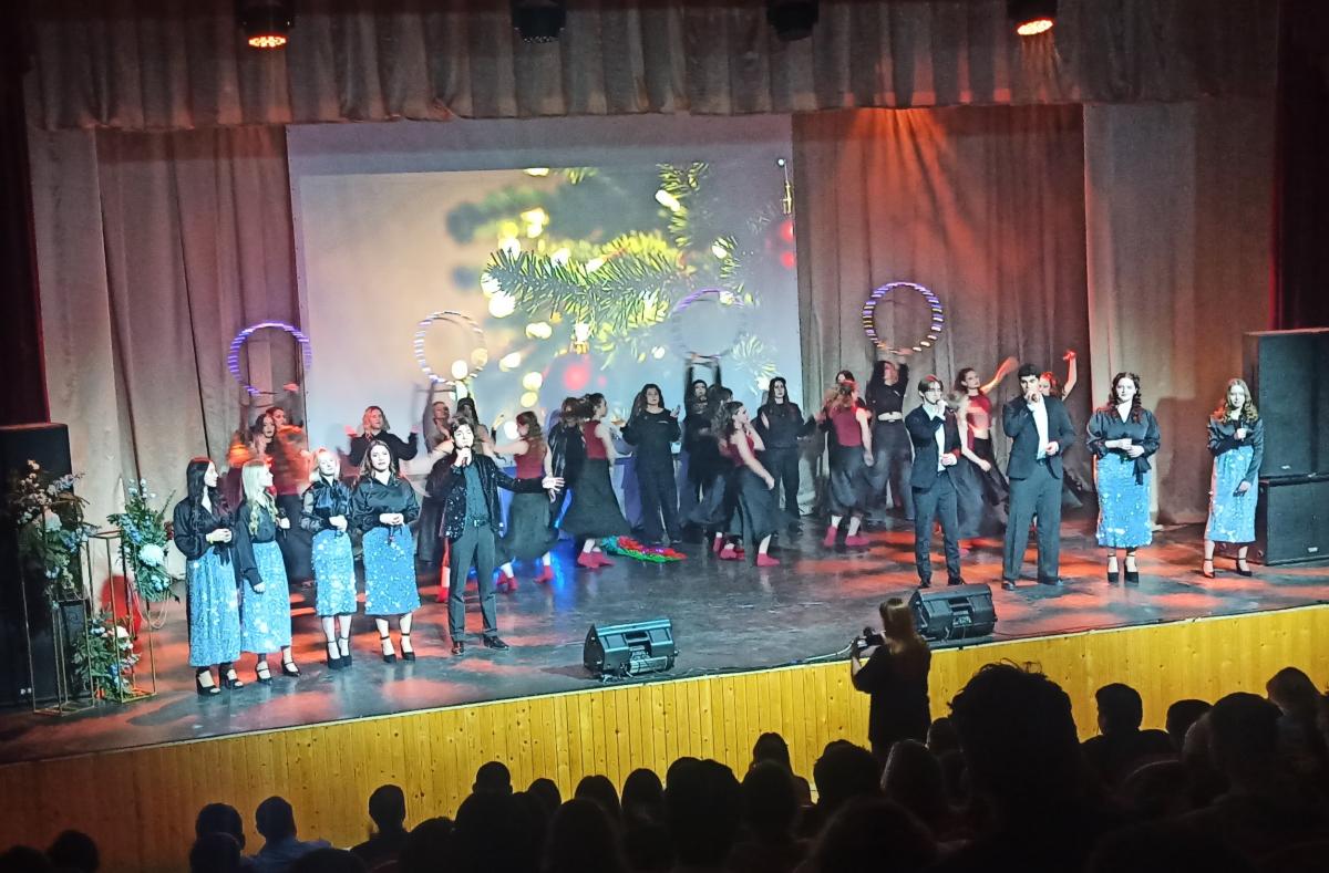 Посещение новогоднего концерта Фото 6