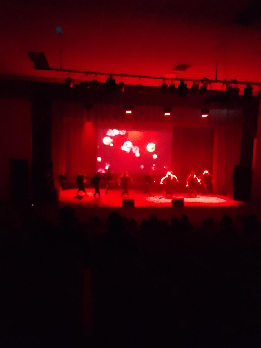 Новогодний концерт в Вавиловском университете Фото 3