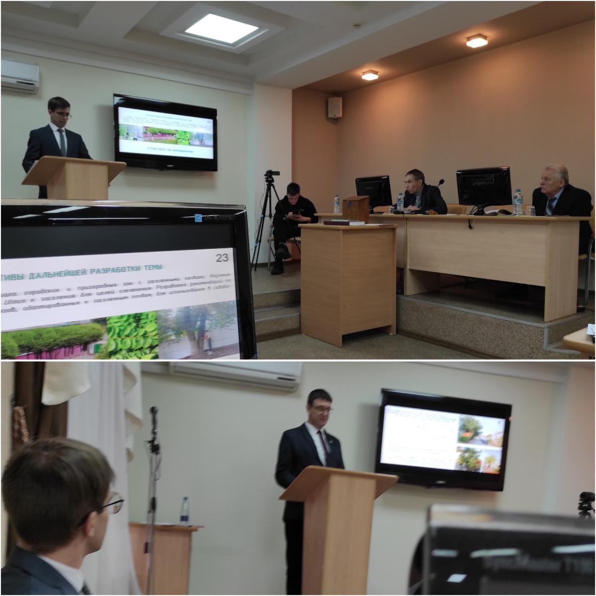 ИЛЬМОВЫЕ – КЛЮЧ К УСТОЙЧИВОМУ ОЗЕЛЕНЕНИЮ ГОРОДОВ Фото 1