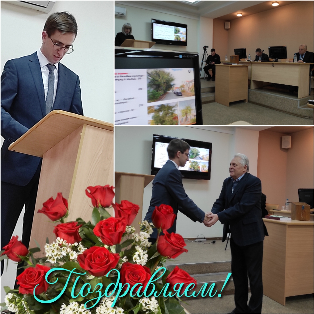 ИЛЬМОВЫЕ – КЛЮЧ К УСТОЙЧИВОМУ ОЗЕЛЕНЕНИЮ ГОРОДОВ Фото 2