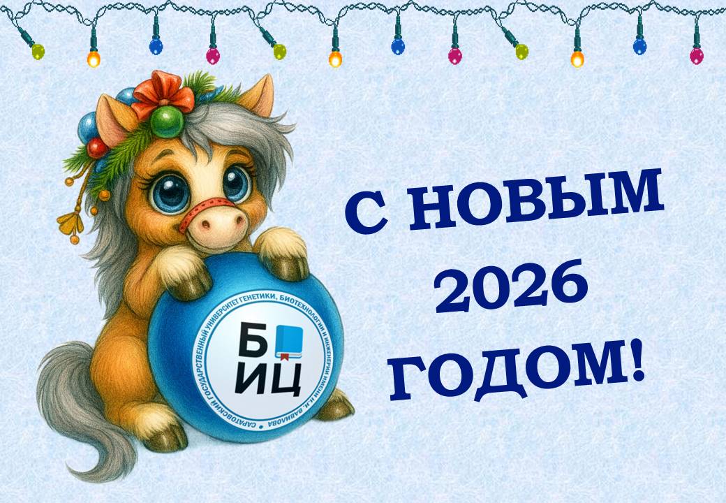 С НОВЫМ 2026 ГОДОМ!