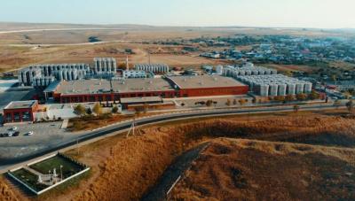 Практика студентов Вавиловского университета в ООО «Кубань-Вино»