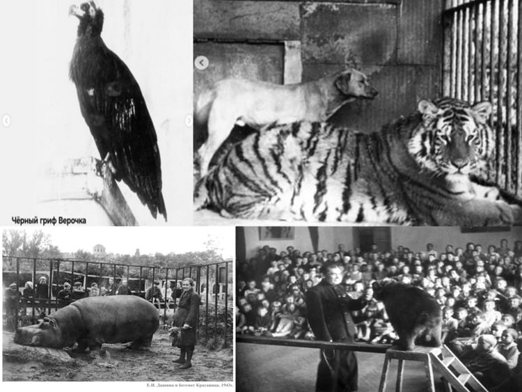 27 января - День воинской славы России Фото 1