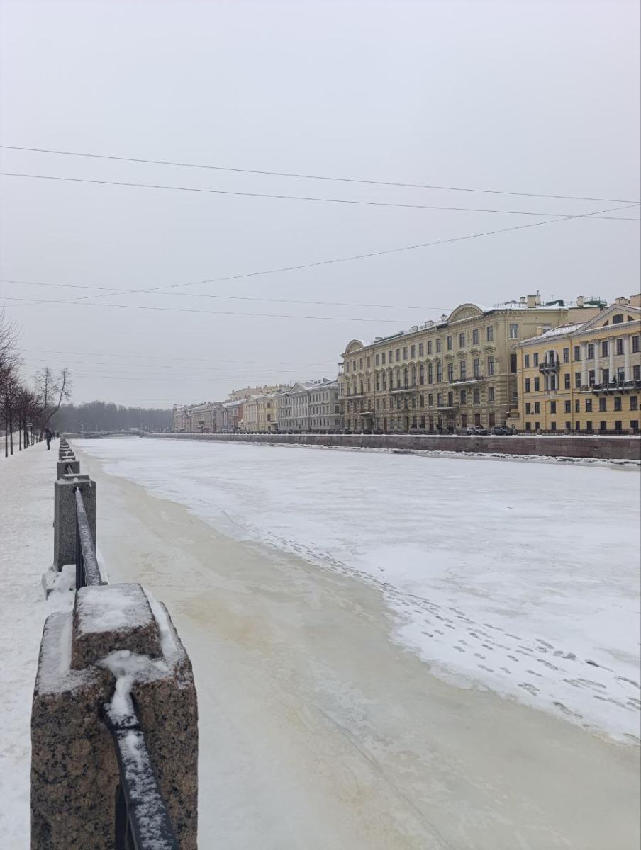 Преподаватели кафедры «Техносферная безопасность и транспортно-технологические машины» - участники Первого Петербургского форума инструкторов по первой помощи Фото 12