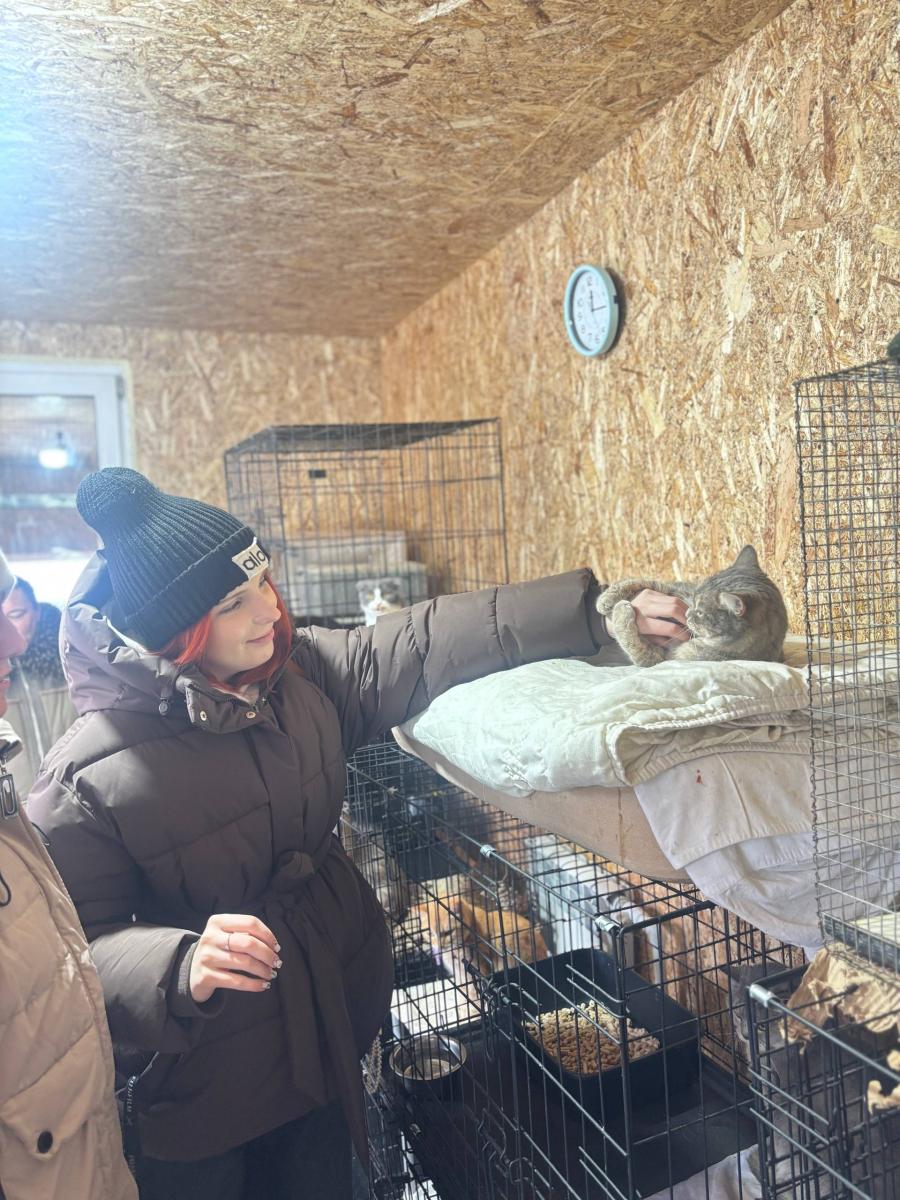 Благотворительная акция «От сердца к сердцу» обучающиеся Пугачевского филиала посетили приют Фото 4