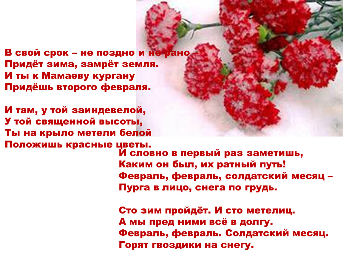 «Сталинград – гордая память истории» Фото 7