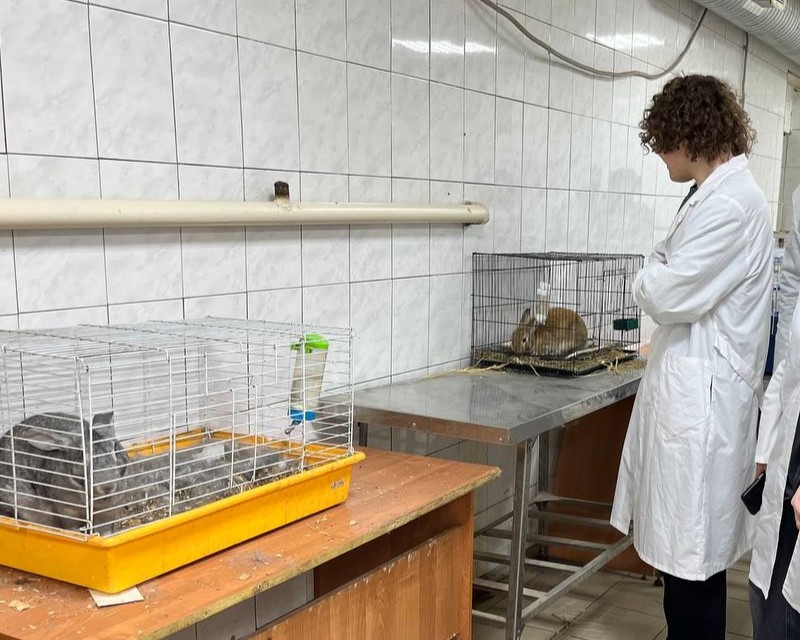 Практическое занятие «Содержание лабораторных животных» Фото 1