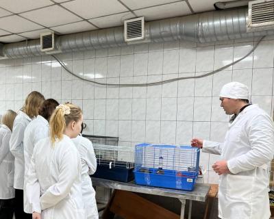 Практическое занятие «Содержание лабораторных животных»