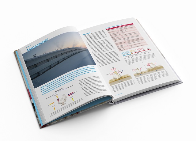 Дар библиотеке Фото 1