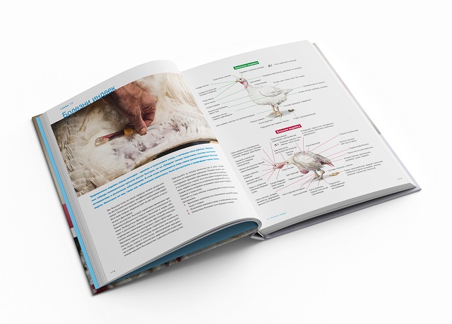 Дар библиотеке Фото 3