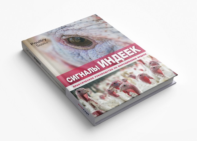 Дар библиотеке