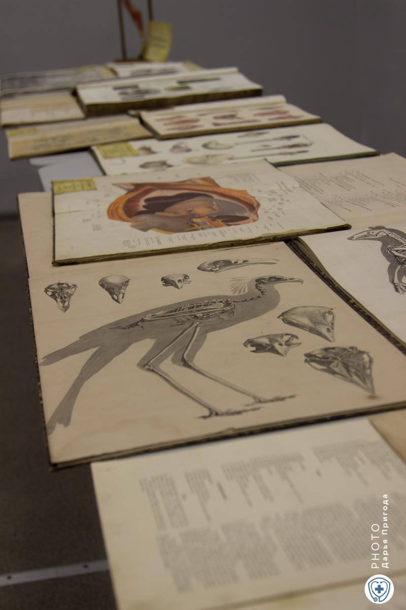 Экскурсия в мир редких книг для саратовских педагогов Фото 8