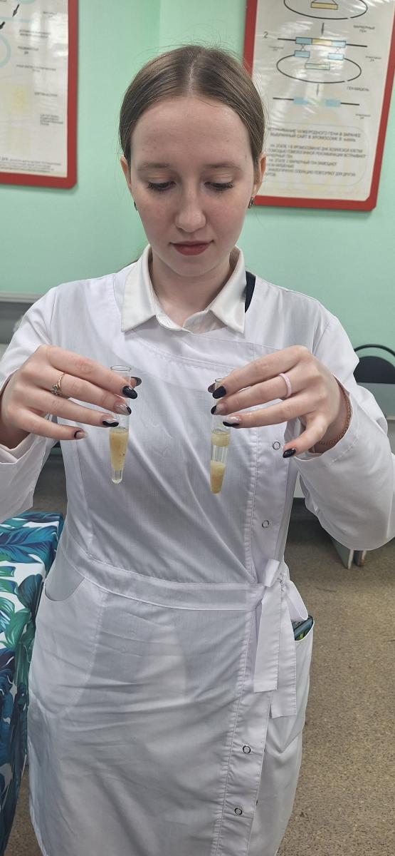 Мастер-класс «Современная биотехнология в каждом доме» Фото 6