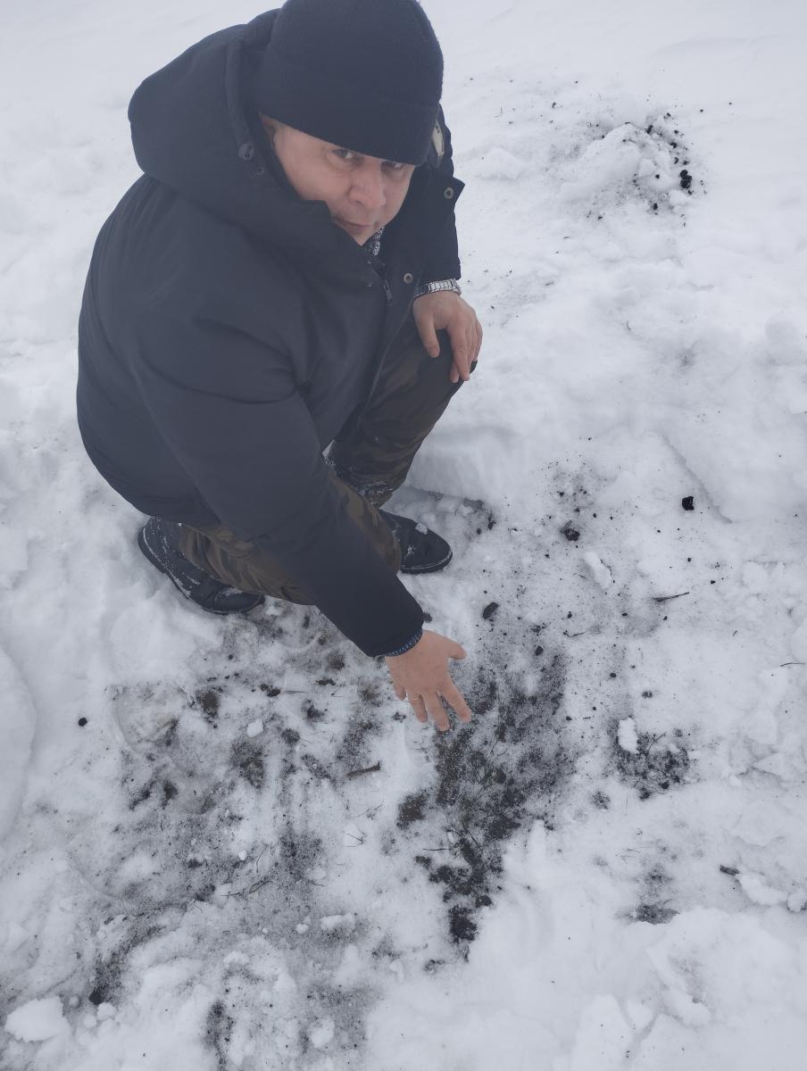 Оценка состояния посевов озимых культур на опытном поле Фото 1 Оценка состояния посевов озимых культур на опытном поле Фото 1