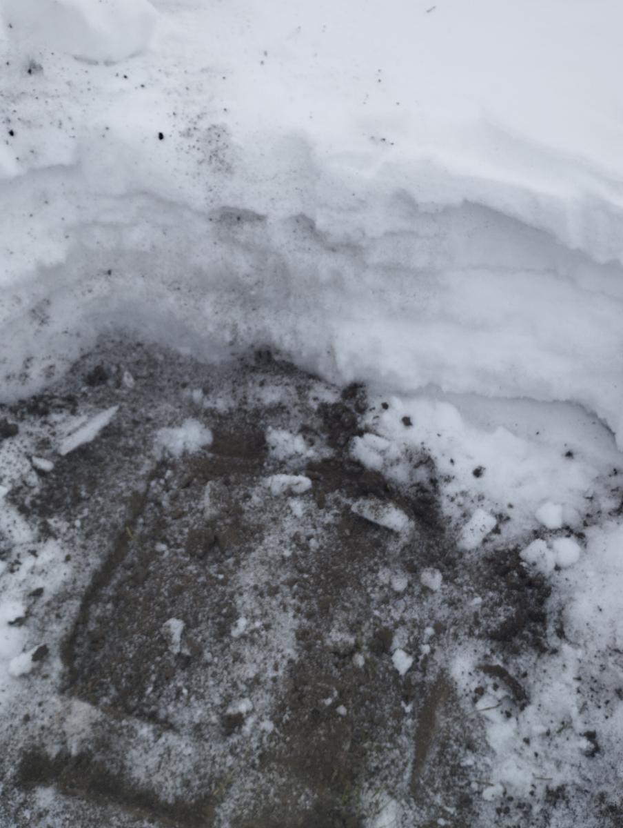 Оценка состояния посевов озимых культур на опытном поле Фото 4 Оценка состояния посевов озимых культур на опытном поле Фото 4