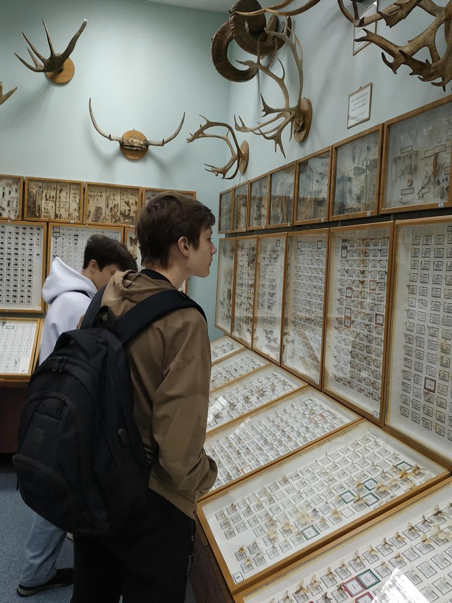 Посещение зоологического музея Фото 3 Посещение зоологического музея Фото 3