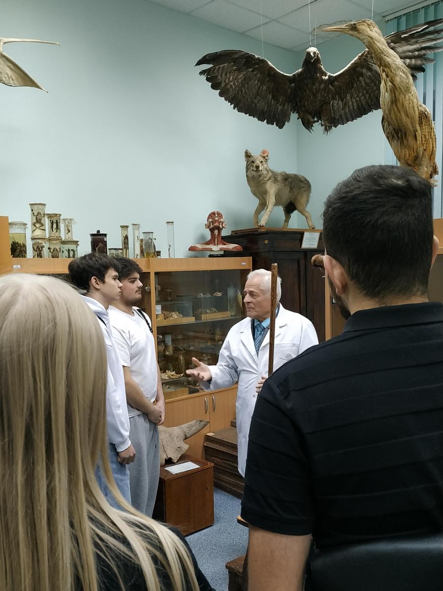 Посещение зоологического музея Фото 4 Посещение зоологического музея Фото 4