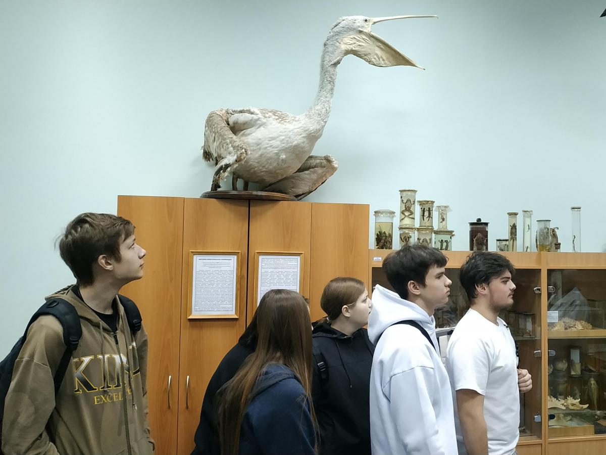 Посещение зоологического музея Фото 5 Посещение зоологического музея Фото 5