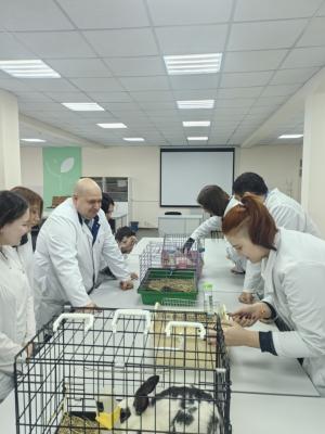 Мастер‑класс для будущих ветеринаров