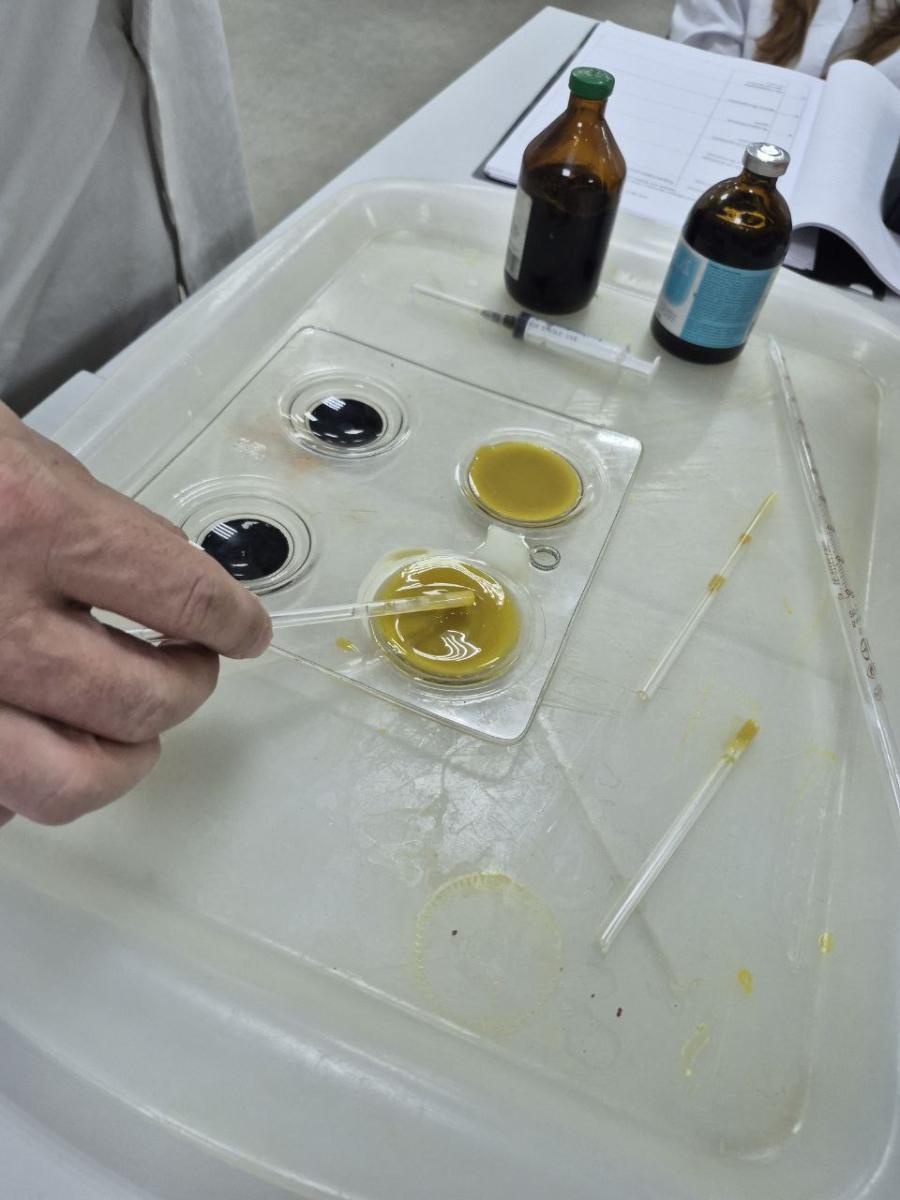 Учебная практика по профессиональному модулю ПМ.02 Фото 2