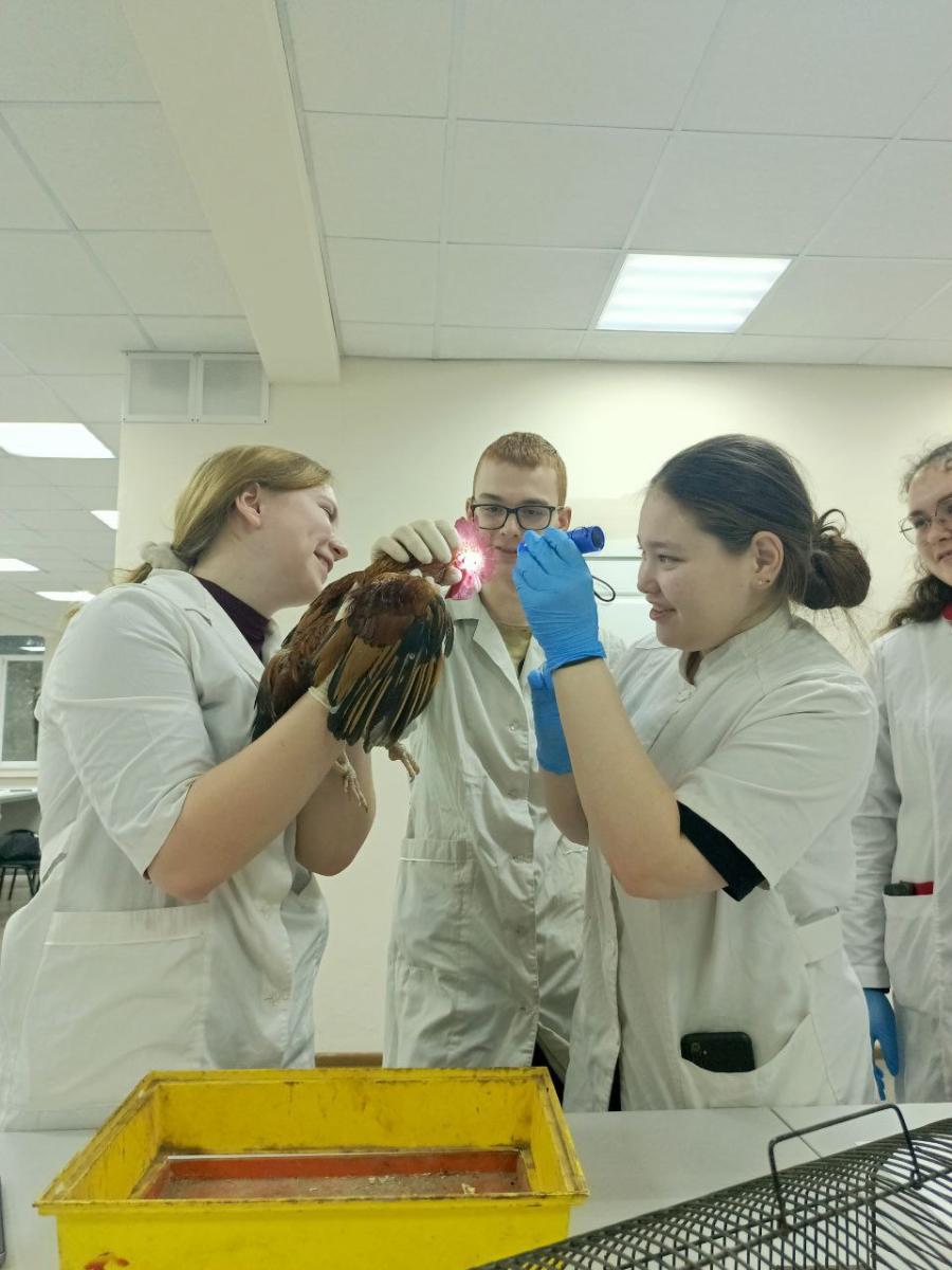 Учебная практика по профессиональному модулю ПМ.02 Фото 3