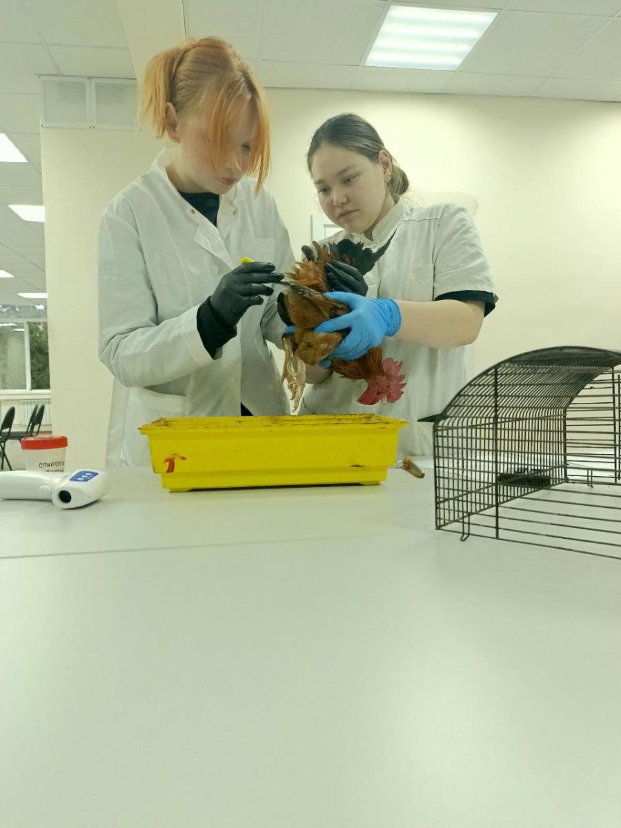 Учебная практика по профессиональному модулю ПМ.02 Фото 4