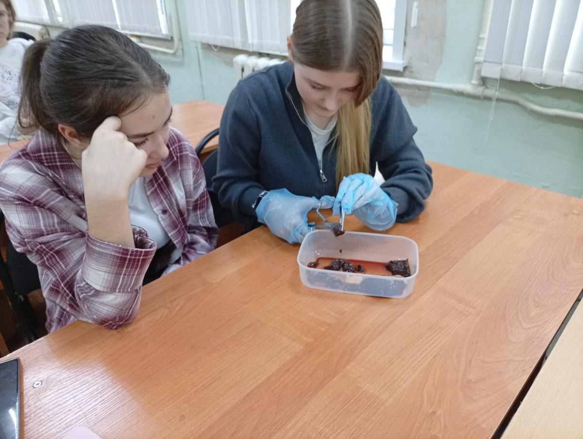 Мастер-класс для участников конкурса "Будущее в ваших руках" Фото 2 Мастер-класс для участников конкурса "Будущее в ваших руках" Фото 2