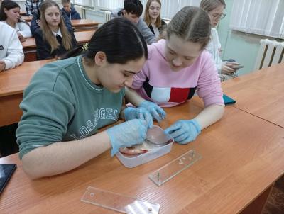 Мастер-класс для участников конкурса "Будущее в ваших руках"